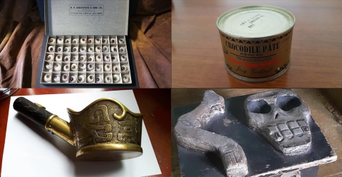 Meteoriti, bulbi oculari e pat� di coccodrillo: su Facebook i collezionisti degli "oggetti strani"